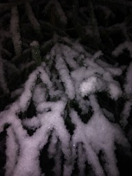 Первый снег 2