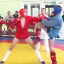 В Соликамске прошел городской турнир по спортивному и боевому самбо