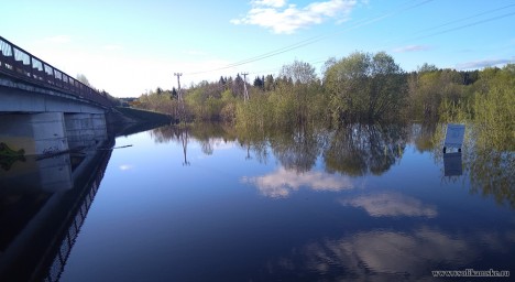 Разлив реки Боровая в Чертеже 5