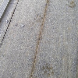 Зима близко #vsolikamske