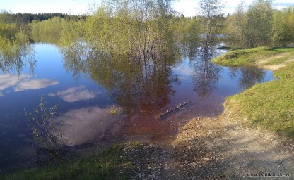 Разлив реки Боровая в Чертеже 3