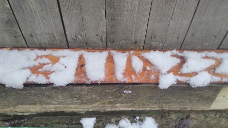 Первый снег 1