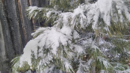 Первый снег 2