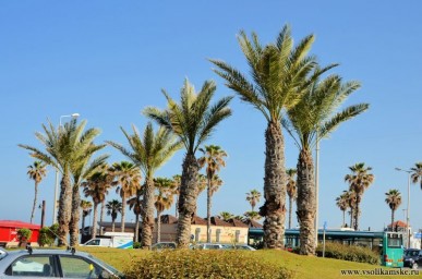 Хождения по Святой земле13120