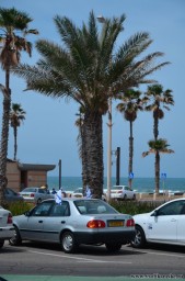 Хождения по Святой земле13136