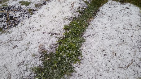 Первый снег 4