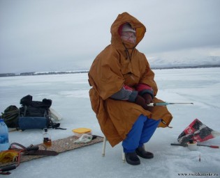 Фото без названия