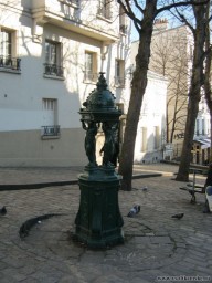 Фото без названия