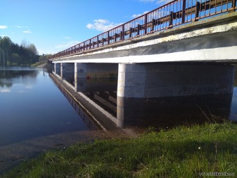 Разлив реки Боровая в Чертеже 4