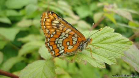 глазища то какие...