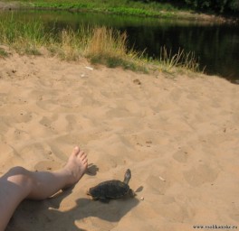 Там то, о чём я думаю?