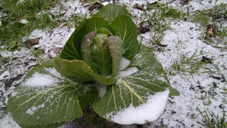 Первый снег 2