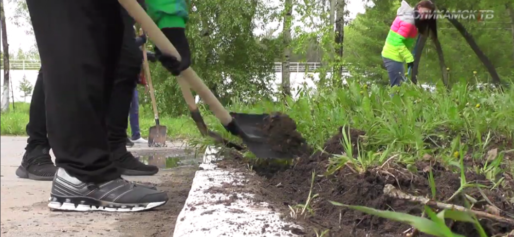 В Соликамске начали свою работу отряды главы
