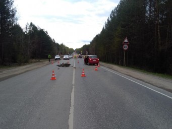 На дороге «Соликамск–Красновишерск» в результате ДТП пострадали два человека 1