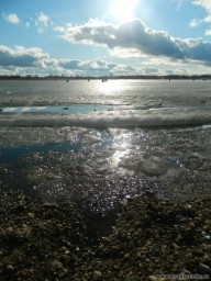 тают льды весною