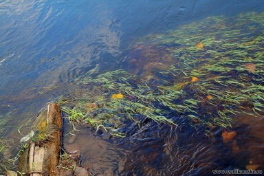 соликамские красоты