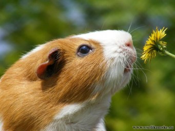 Фотоальбом 13.09.2013