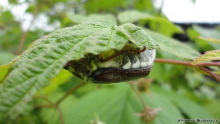 прятаться бесполезно
