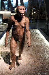 Милая экскурсовод музея науки