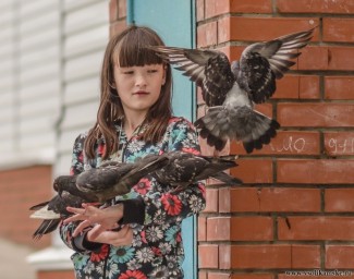 Девочка и голуби