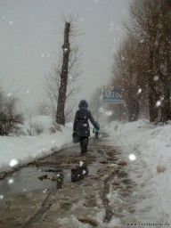 Насколько прекрасна весна?