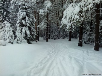 Прогулка на лыжах
