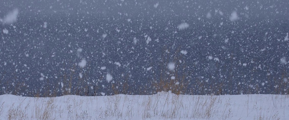 В середине недели в Соликамске ожидаются обильные снегопады