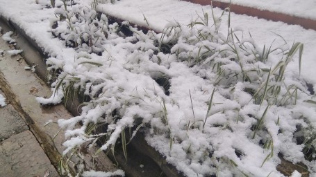 Первый снег 3