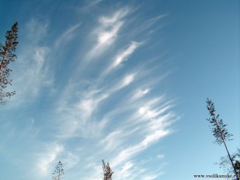 Фото без названия