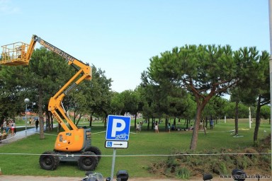 Испанская обрезка деревьев