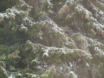 Снег 28 мая 2