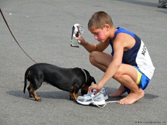 Спортсмены и болельщики