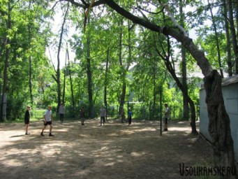 Двор за домом.jpg