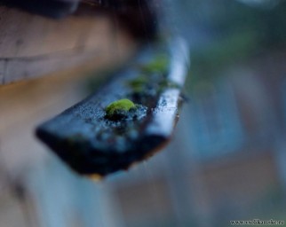 Фотоальбом 10.08.2012