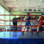 В Соликамске прошел турнир по боксу