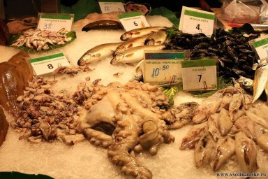 Гады морские