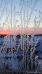 Фото без названия