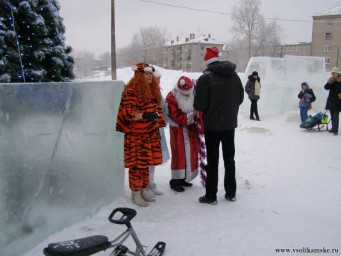 У ёлки в Боровске9322