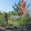 В Прикамье в период с 17 по 23 мая введен запрет на пребывание граждан в лесах