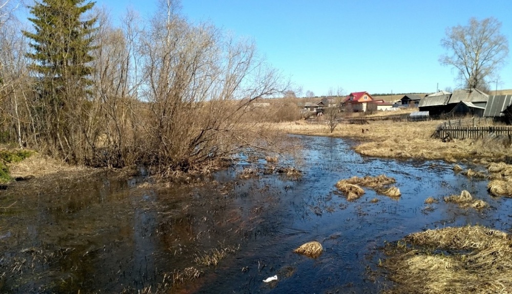 Проект расчистки русла реки Козловка близ села Половодово будет разработан до конца года
