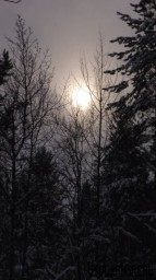 Поймали солнце в кадр