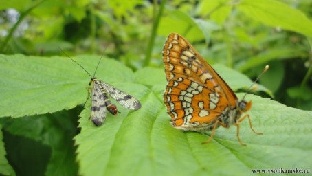 -Ты обиделась? -Нет. -Сильно? -Да.