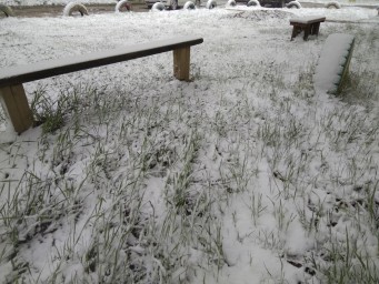 Вечером 1 июня 2018