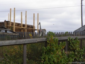 Обезьянка 5.JPG