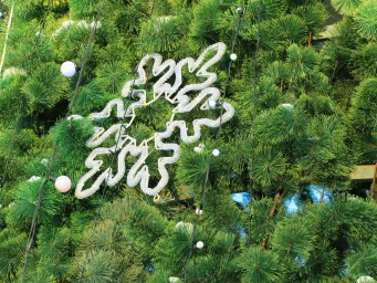 Ледовый городок 2018 10