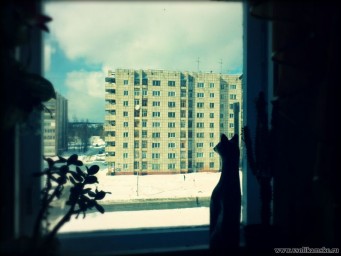 Весенний фотоконкурс