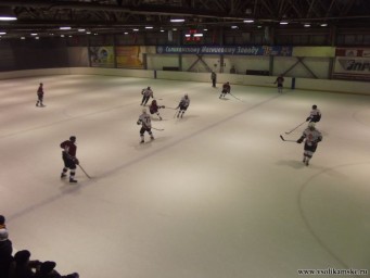 Соликамск-Торонто. Хоккей 30.12.2012