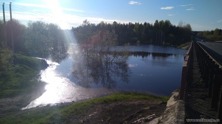 Разлив реки Боровая в Чертеже 1