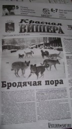 Приколы местные и не только))