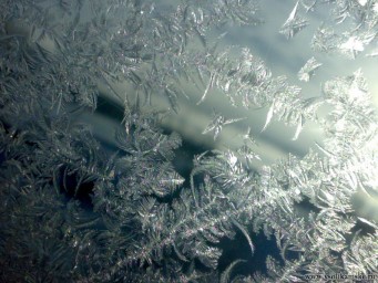 Фото без названия